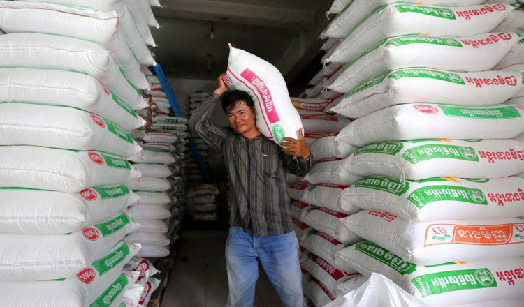 Cambodia earns $170 million from rice exports